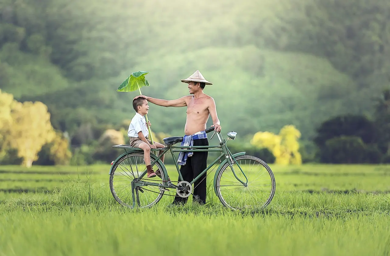 Success Stories: Data-Driven Victories - MK体育